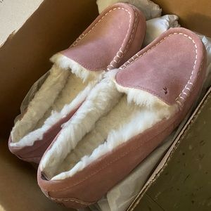 Kookaburra uggs